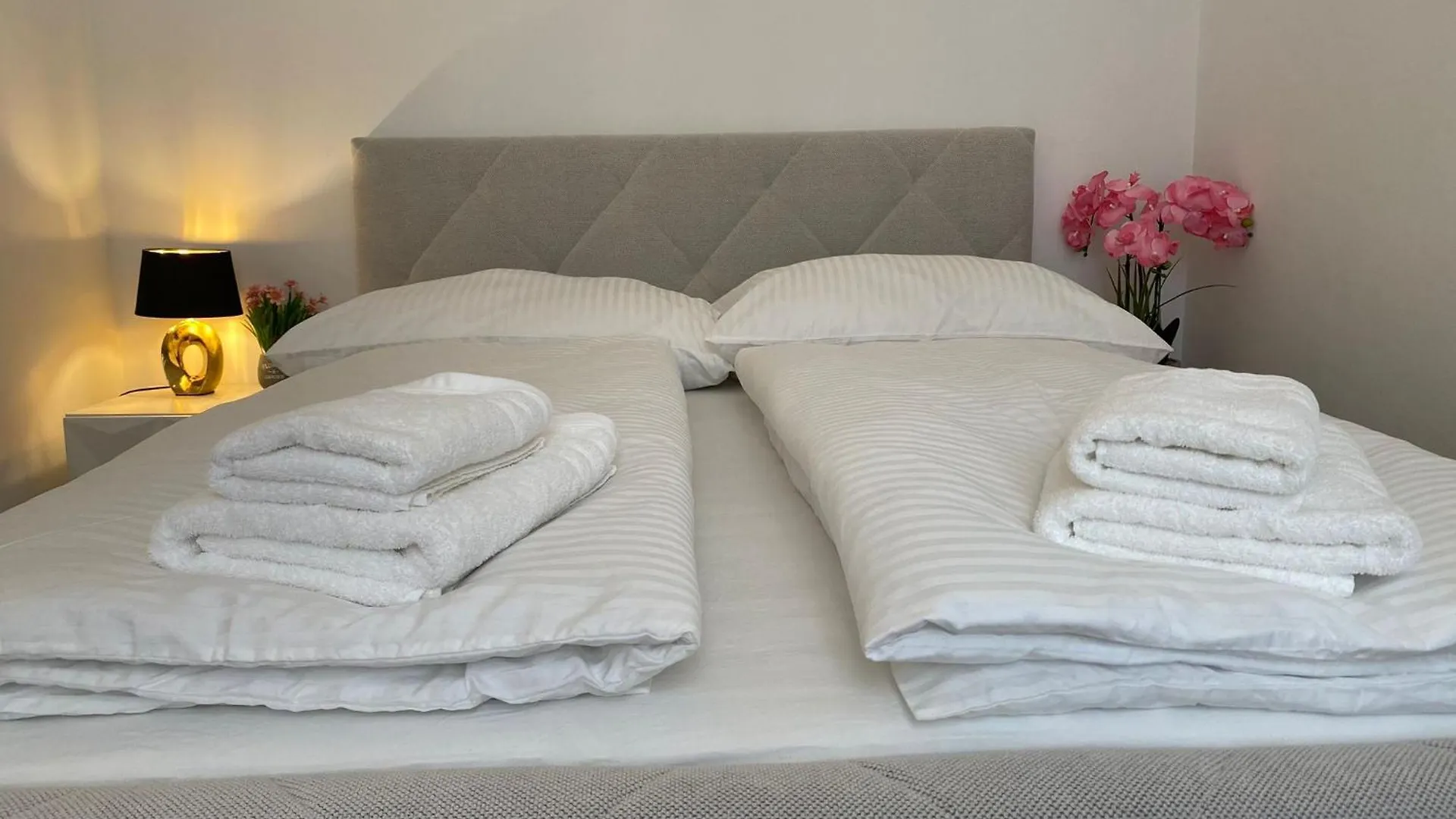 Apartament Joop Deluxe-Free Garage,Near Schoenbrunn Palace Wiedeń Austria